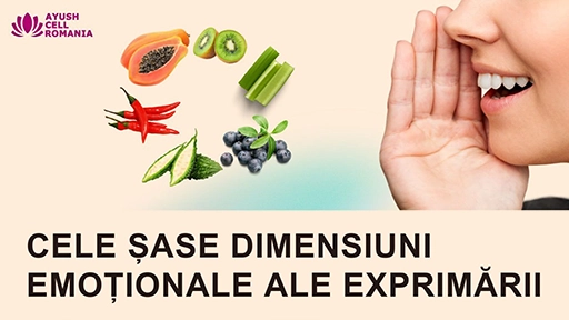 Cele 6 dimensiuni ale exprimarii